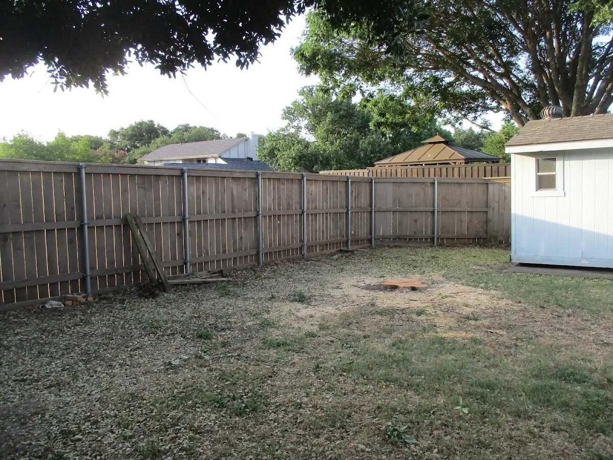 Cleared yard after professional tree removal in Neihart