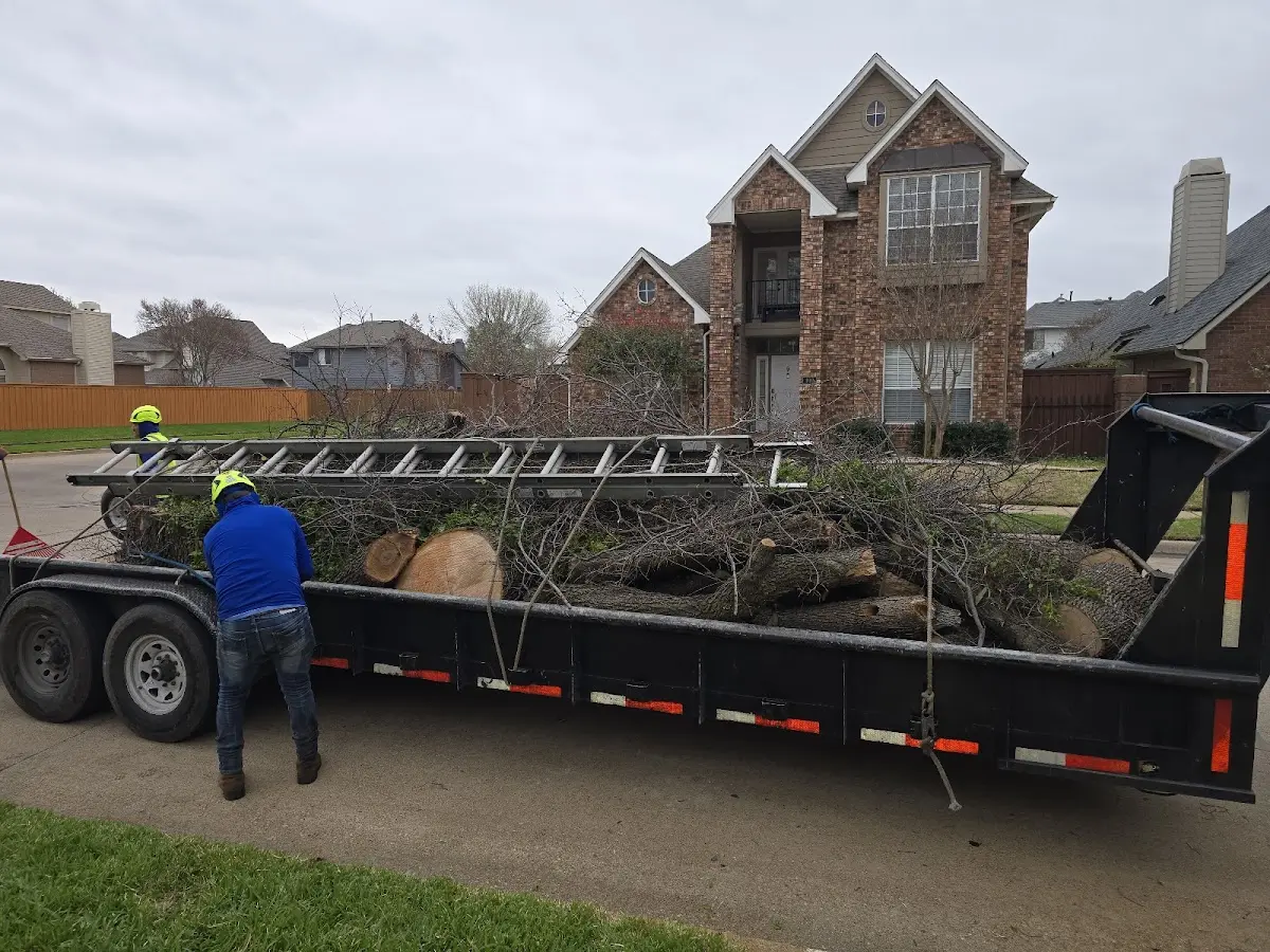 Expert Tree Fertilization with proper safety equipment in Neihart